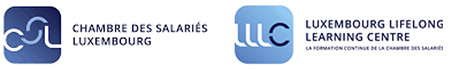 LLC CSL Logo
